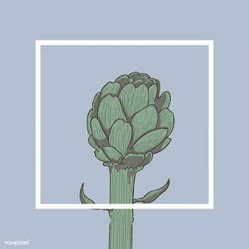 Illustration of house plants | Free stock vector - 390321