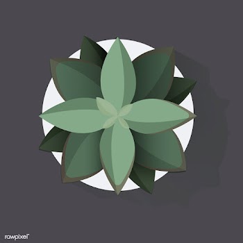 Illustration of house plants | Free stock vector - 390348