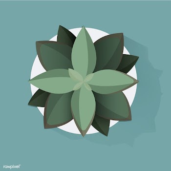 Illustration of house plants | Free stock vector - 390387