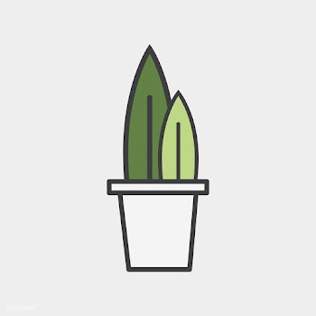 Illustration of house plants | Free stock vector - 76990