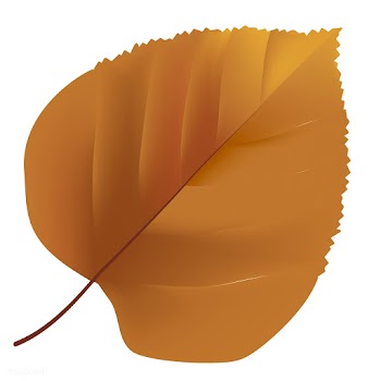 Illustration of leaf isolated on white backgr.. | Free stock vector - 83407