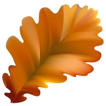 Illustration of leaf isolated on white backgr.. | Free stock vector - 83408