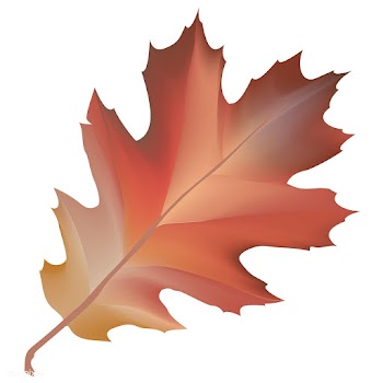 Illustration of leaf isolated on white backgr.. | Free stock vector - 83414