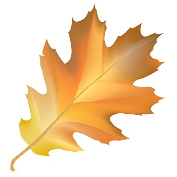 Illustration of leaf isolated on white backgr.. | Free stock vector - 83418
