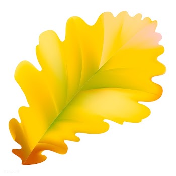 Illustration of leaf isolated on white backgr.. | Free stock vector - 83428