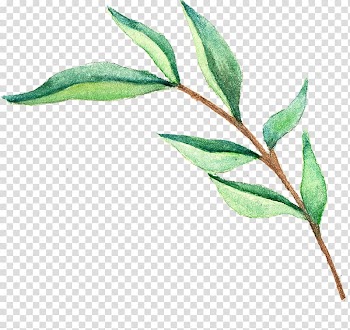 Illustration of leaf, Wedding invitation Leaf Watercolor painting Green, Watercolor leaves transparent background PNG clipart