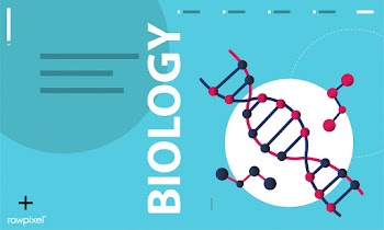 Illustration of life science | Free stock vector - 395104