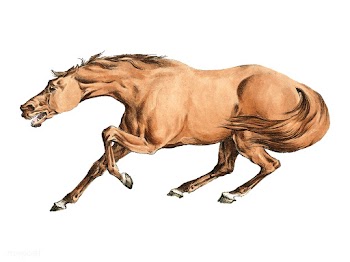 Illustration of light-brown horse from Sporti.. | Free stock vector - 471349