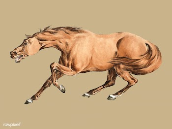 Illustration of light-brown horse from Sporti.. | Free stock vector - 471400