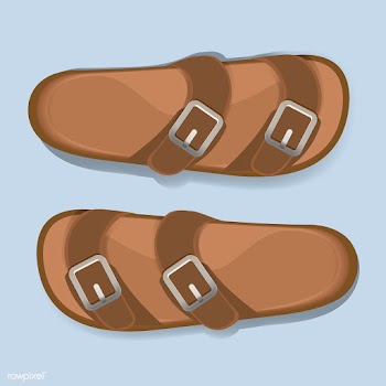 Illustration of man sandal | Free stock vector - 390602