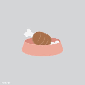 Illustration of meat in a pet's food bowl | Free stock vector - 60528
