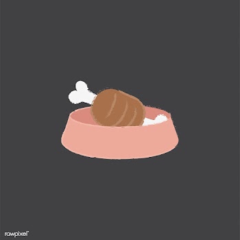 Illustration of meat in a pet's food bowl | Free stock vector - 60529
