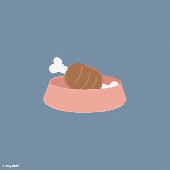 Illustration of meat in a pet's food bowl | Free stock vector - 60531