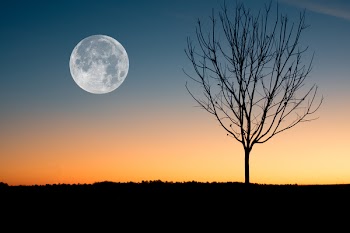 Illustration of Moon Showing during Sunset