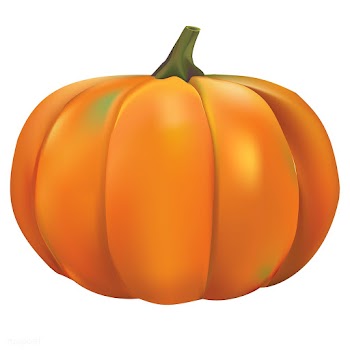 Illustration of pumpkin isolated on white bac.. | Free stock vector - 83406