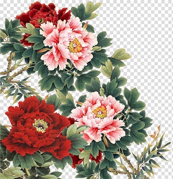 Illustration of red and pink petaled flowers, Moutan peony Chinese painting, Peony transparent background PNG clipart