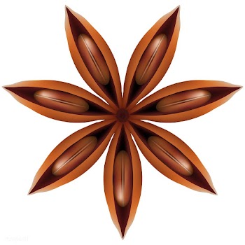 Illustration of star anise for home decoratio.. | Free stock vector - 295293