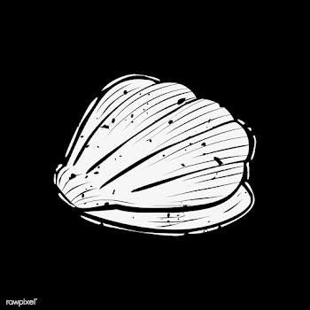 Illustration of summer and beach object | Free stock vector - 381566