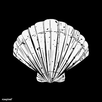 Illustration of summer and beach object | Free stock vector - 381607