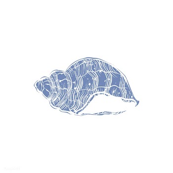 Illustration of summer and beach object | Free stock vector - 381729