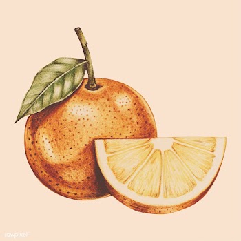 Illustration of tropical fruit watercolor sty.. | Free stock vector - 95483