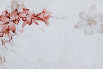 illustration of white and red flowers