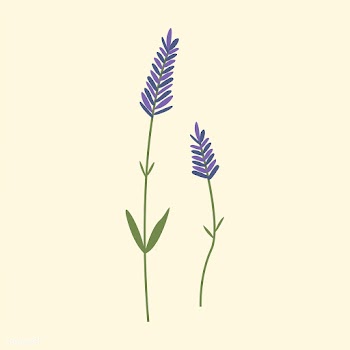 Illustration of wild flowers | Free stock vector - 4289