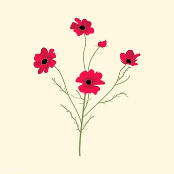 Illustration of wild flowers | Free stock vector - 4299