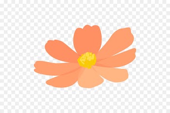 Illustration Portable Network Graphics Flower Cleanser -  
