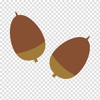 Illustration Product design Acorn, 2019 transparent background PNG clipart