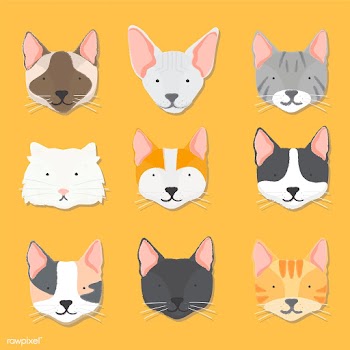 Illustration set of cat heads | Free stock vector - 60711