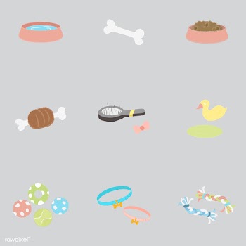 Illustration set of pet related things | Free stock vector - 60527