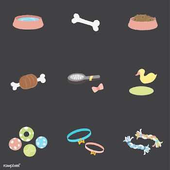 Illustration set of pet related things | Free stock vector - 60542
