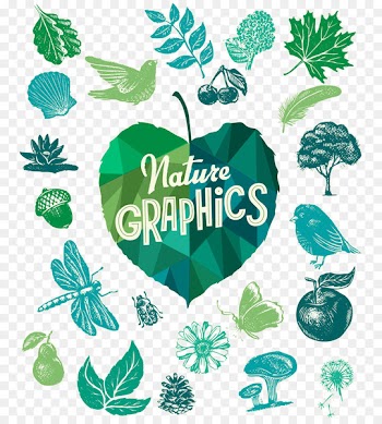 Illustration Stock photography Vector graphics Royalty-free Euclidean vector - afforest design element 