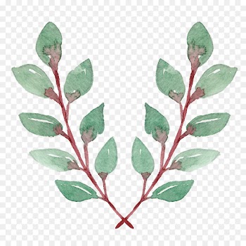 Illustration Television Leaf Portable Network Graphics Image - green foliage 