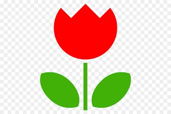 Illustration Tulip Flower Ramen Ichinomiyamachi Teno -  