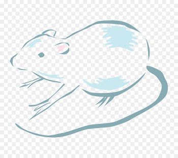 Illustration Vector graphics Clip art Gerbil - rat 