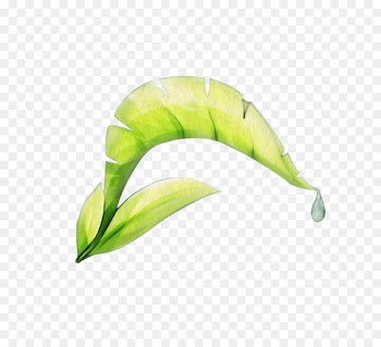 Illustration Vector graphics Image Green Yellow - germinating plants 
