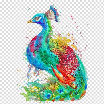 Illustration Watercolor painting Art Peafowl, painting transparent background PNG clipart