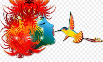 Illustrator, Drawing, Graphic Design, Organism PNG