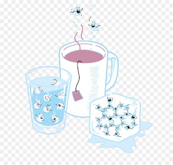 Illustrator Illustration Vienna Artist Design -  