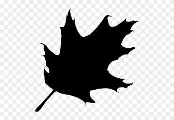 Ilustración Vectorial De Silueta De Hoja De Roble - Oak Leaf Silhouette Vector