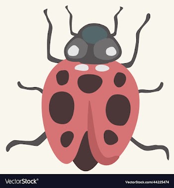 ilustration of ladybird
