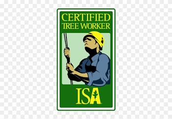 Image 1265722 Certififed Tree Worker Logo - Isa Certified Tree Climber