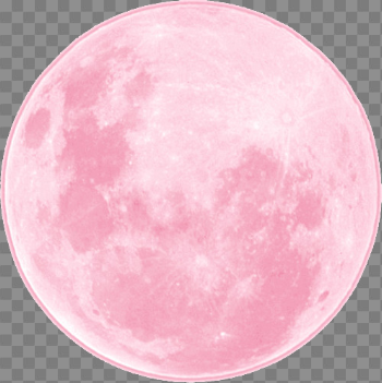 Image about pink in Transparents(png) by Alana Lynch△