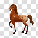 Image - Appaloosa Horse.png | FarmVille 2 Wiki | FANDOM powered by Wikia