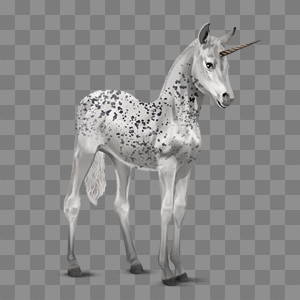 Image - Appaloosa Unicorn Foal - Black Leopard.png | Howrse Wiki ...