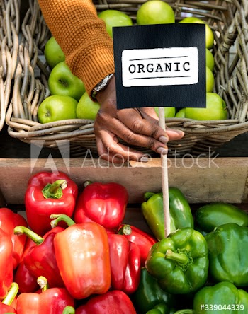 Image bFresh Natural Organic Product Concept