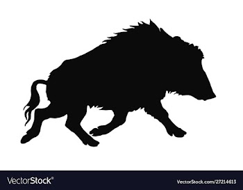 Image black silhouette one running wild boar vector image