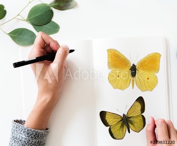 Image by rawpixel.com